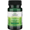 Doplněk stravy Swanson Anti-Gas Enzyme 123 mg 90 kapslí