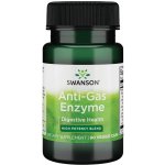 Swanson Anti-Gas Enzyme 123 mg 90 kapslí – Hledejceny.cz