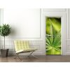 Tapety WEBLUX Samolepka na dveře fólie marijuana - 5123920 marihuana rozměry 90 x 220 cm