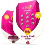 Royal Queen Seeds Candy Kush Express Fast Semena neobsahují THC 10 ks – Zboží Dáma