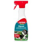 Carlson Garden přípravek na odstranění řas a mechů 500 ml – Hledejceny.cz