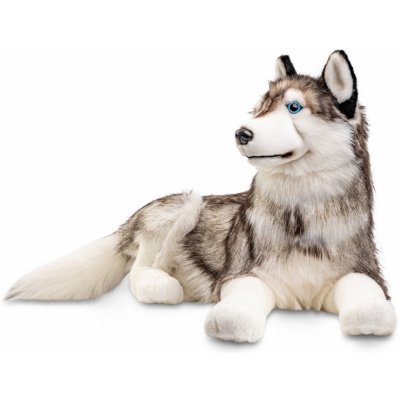 Husky 100 cm