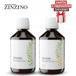 Zinzino BalanceOil Vegan 300 ml – Hledejceny.cz