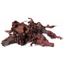 Lifefood Dulse Bio 50 g