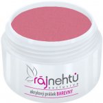 Ráj nehtů Akrylový prášek Classic Red 5 g – Zboží Dáma