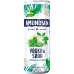 Amundsen + Soda bezinka 6% 0,25 l (plech) – Zboží Dáma