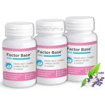 OKG Factor Base Kids XXL 180 tablet – Hledejceny.cz