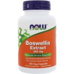 Now Foods Boswellia Extrakt + Kurkuma 250 mg 120 kapslí – Hledejceny.cz