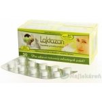 LAKTAZAN laktáza máta 60 tablet – Hledejceny.cz