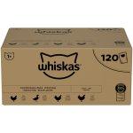 Whiskas Adult drůbeží hody v želé kuře/kachna/krůta 120 x 85 g – Hledejceny.cz