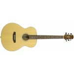 Ashton SL20 – Sleviste.cz