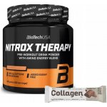 BioTech USA NitroX Therapy 340 g – Hledejceny.cz