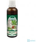 Byliny Naděje bylinná tinktura z pupenů Jírovec maďal 50 ml – Hledejceny.cz