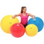 Gymnic classic Plus 55 cm – Zboží Dáma