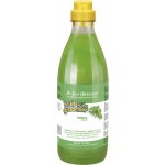 IV San Bernard MENTA 1000 ml – Zboží Dáma