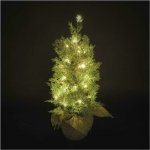 Emos LED svítící stromek 50 cm venkovní i vnitřní teplá bílá časovač DCTW31 – Hledejceny.cz