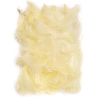DP Craft Peří krémové 10 gr. 5-12 cm – Sleviste.cz
