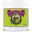 Advanced Nutrients Big Bud Powder 500 g