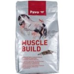 Pavo Muscle Build NEW 3 kg – Zboží Dáma