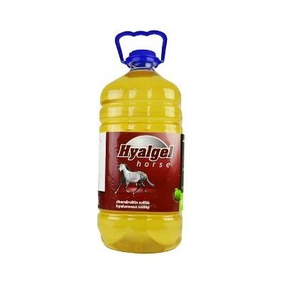 Hyalgel Horse jablko 5000 ml – Hledejceny.cz