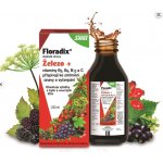 Salus Floradix Železo+ 250 ml – Hledejceny.cz