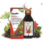 Salus Floradix železo+ 250 ml – Hledejceny.cz