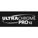 Epson C13T44Q240 - originální – Zboží Živě