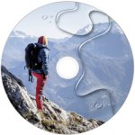 Verbatim DVD-R 4,7GB 16x, AZO, printable, spindle, 50ks (43734) – Zboží Mobilmania