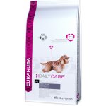 Eukanuba Daily Care Sensitive Skin 12 kg – Hledejceny.cz