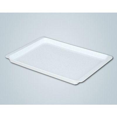 Letr Podnos bílý 50x34cm – Zboží Mobilmania