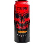 USN Qhush energy drink Red Rush 0,5 l – Zboží Mobilmania