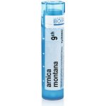 ARNICA MONTANA POR 9CH GRA 4G – Hledejceny.cz