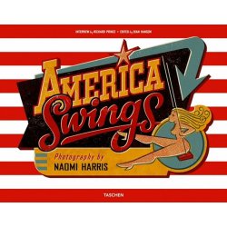 Naomi Harris, America Swings