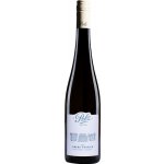 Weingut Polz Grüner Veltliner Steinfeder "Ried Obere Pointen" 2025 11,5% 0,75 l (holá láhev) – Hledejceny.cz