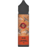 ZAP! Juice Shake & Vape AISU Melon 20 ml – Zboží Dáma