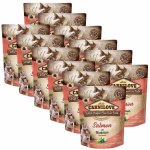 Carnilove Puppy Salmon with Blueberries 12 x 300 g – Zbozi.Blesk.cz