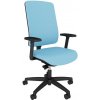 Kancelářská židle RIM Flexi FX 1113 A