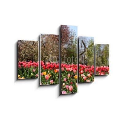 Obraz 5D pětidílný - 150 x 100 cm - Holland windmills and tulips Holland větrné mlýny a tulipány – Zboží Mobilmania