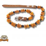 Marius Sliazas Proprietorship Jantarový obojek – Hledejceny.cz