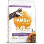 Iams for Vitality Kitten Food with Fresh Chicken 10 kg – Hledejceny.cz
