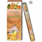 Garden Fresh Vonné tyčinky Citrus Lily 15 ks – Hledejceny.cz