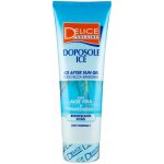 Delice Solaire Ice gel po opalování 250 ml – Hledejceny.cz