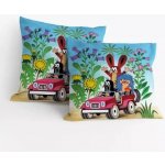 Matějovský Krtek v autě 40 x 40 cm – Sleviste.cz