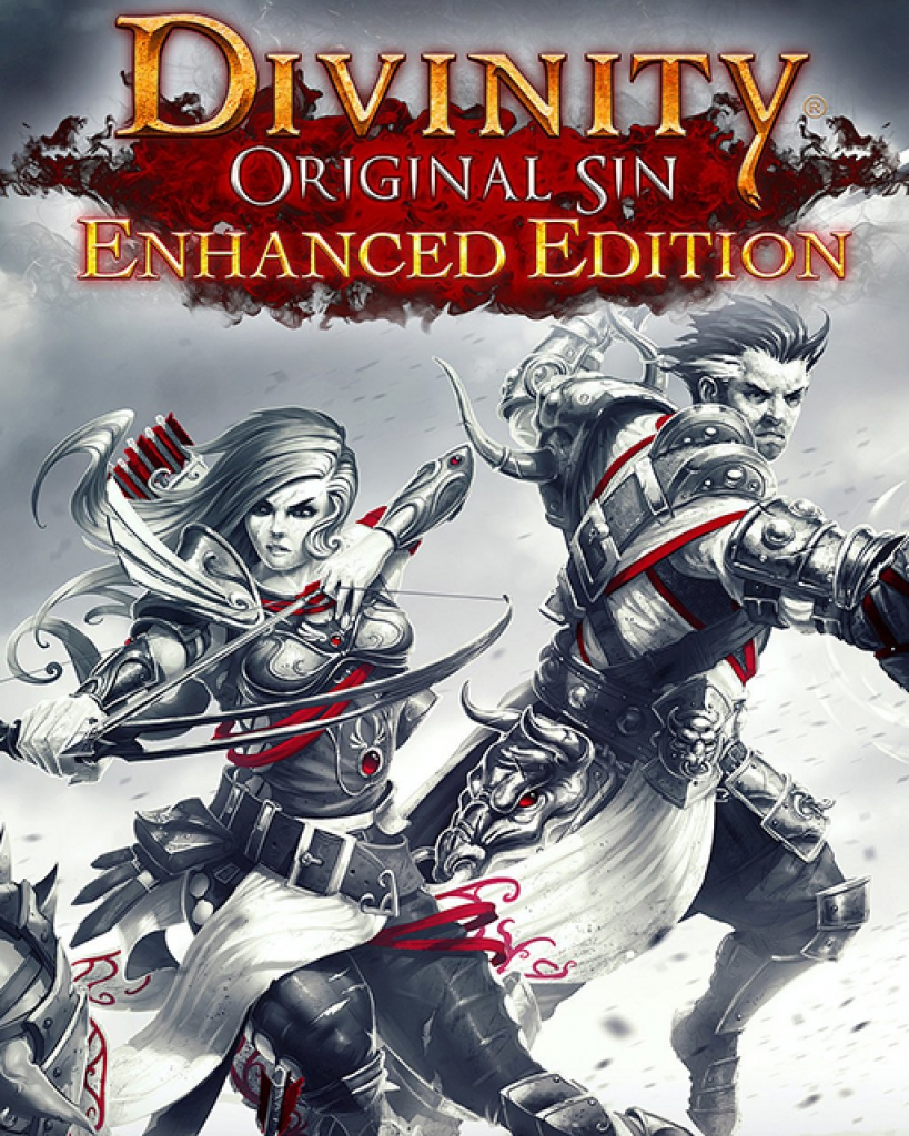 Divinity Original Sin