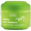 Ziaja Natural Olive +UV denní pleťový krém 50 ml