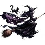 Vinylová samolepka - čarodějnice na koštěti (13,5 x 11,0 cm) – Zboží Živě