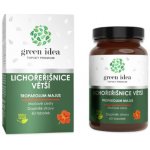 Green idea Lichořeřišnice Větší 60 tablet – Hledejceny.cz