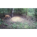 OXE Viper – Zboží Živě