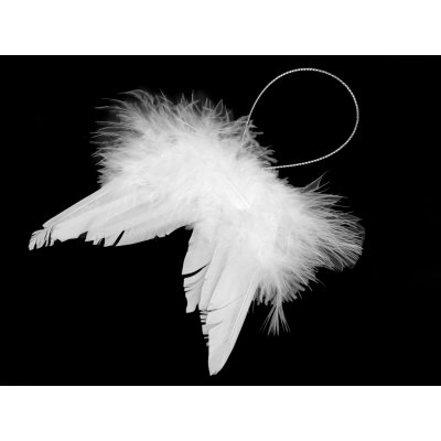 Prima-obchod Dekorace andělská křídla malá, barva bílá