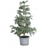 Zelený vánoční borový stromek Fleur se 60 LED světýlky a košíkem – Ø 50*90 cm - Chic Antique – Hledejceny.cz